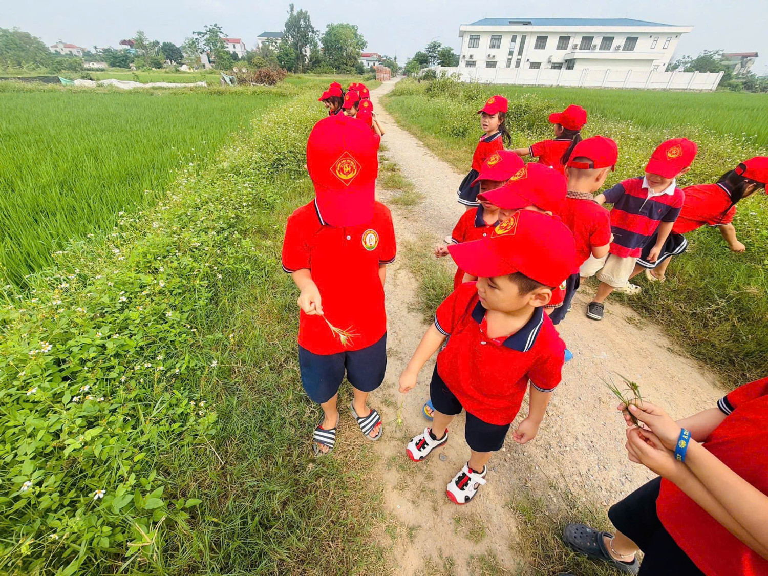 z7752455567723 7454dada086f7153825a2b1d4f0903b2