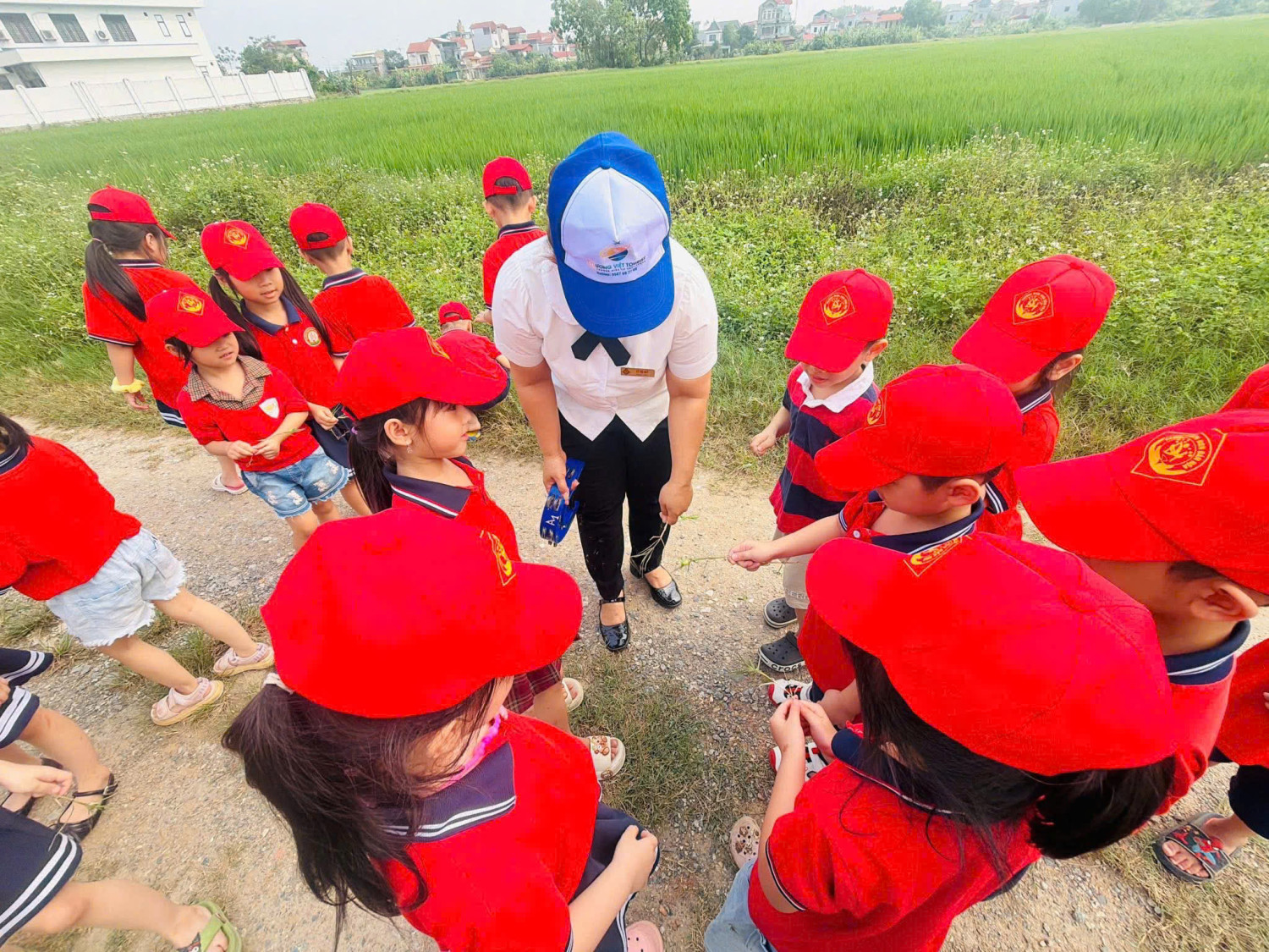 z7752455675790 48dfff479eeaec9bfcb5a6cdcde8a779